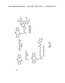 ALKYNES AND METHODS OF REACTING ALKYNES WITH 1,3-DIPOLE-FUNCTIONAL     COMPOUNDS diagram and image