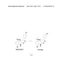 METHODS AND COMPOSITIONS FOR TREATING EWINGS SARCOMA FAMILY OF TUMORS diagram and image