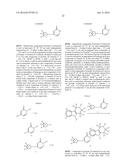 (1-AZINONE)-SUBSTITUTED PYRIDOINDOLES diagram and image