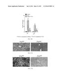 INHIBITORS OF THE FARNESOID X RECEPTOR AND USES IN MEDICINE diagram and image