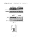 INHIBITORS OF THE FARNESOID X RECEPTOR AND USES IN MEDICINE diagram and image