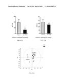 INHIBITORS OF THE FARNESOID X RECEPTOR AND USES IN MEDICINE diagram and image