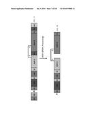 CLOSTRIDIAL NEUROTOXIN FUSION PROTEINS, PROPEPTIDE FUSIONS, THEIR     EXPRESSION, AND USE diagram and image