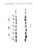 CLOSTRIDIAL NEUROTOXIN FUSION PROTEINS, PROPEPTIDE FUSIONS, THEIR     EXPRESSION, AND USE diagram and image