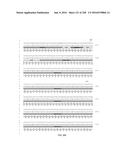 CLOSTRIDIAL NEUROTOXIN FUSION PROTEINS, PROPEPTIDE FUSIONS, THEIR     EXPRESSION, AND USE diagram and image