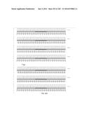 CLOSTRIDIAL NEUROTOXIN FUSION PROTEINS, PROPEPTIDE FUSIONS, THEIR     EXPRESSION, AND USE diagram and image