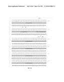 CLOSTRIDIAL NEUROTOXIN FUSION PROTEINS, PROPEPTIDE FUSIONS, THEIR     EXPRESSION, AND USE diagram and image