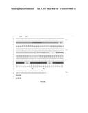 CLOSTRIDIAL NEUROTOXIN FUSION PROTEINS, PROPEPTIDE FUSIONS, THEIR     EXPRESSION, AND USE diagram and image