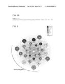 STABILIZED INSULINOTROPIC PEPTIDES AND METHODS OF USE diagram and image