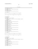 STABILIZED INSULINOTROPIC PEPTIDES AND METHODS OF USE diagram and image