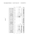 FUSION PARTNERS FOR PEPTIDE PRODUCTION diagram and image