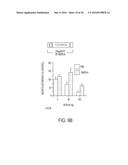 NOGO Receptor Antagonists diagram and image