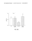 NOGO Receptor Antagonists diagram and image