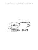 FIBRONECTIN BASED SCAFFOLD DOMAIN PROTEINS THAT BIND PCSK9 diagram and image