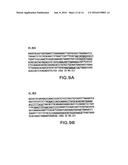 MONOCLONAL ANTIBODIES AGAINST AMYLOID BETA PROTEIN AND USES THEREOF diagram and image