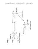 Fractionation of Charged Polysaccharide diagram and image