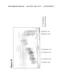 Fractionation of Charged Polysaccharide diagram and image