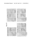 Fractionation of Charged Polysaccharide diagram and image