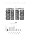 COMPOSITION FOR MAINTAINING CHROMOSOMAL STABILITY OF PLURIPOTENT STEM     CELLS, CONTAINING SMALL-MOLECULE COMPOUND diagram and image