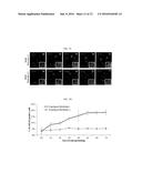 COMPOSITION FOR MAINTAINING CHROMOSOMAL STABILITY OF PLURIPOTENT STEM     CELLS, CONTAINING SMALL-MOLECULE COMPOUND diagram and image