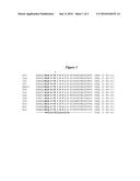 DNA POLYMERASES WITH INCREASED 3 -MISMATCH DISCRIMINATION diagram and image