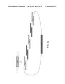 Fusion Polymerase and Method for Using the Same diagram and image