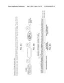 Fusion Polymerase and Method for Using the Same diagram and image