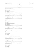 Fusion Polymerase and Method for Using the Same diagram and image