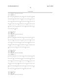 Fusion Polymerase and Method for Using the Same diagram and image