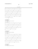 Fusion Polymerase and Method for Using the Same diagram and image