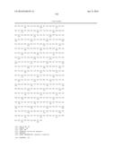 Fusion Polymerase and Method for Using the Same diagram and image