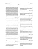 Fusion Polymerase and Method for Using the Same diagram and image