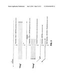 MUTANT ENDONUCLEASE V ENZYMES AND APPLICATIONS THEREOF diagram and image