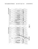 MUTANT ENDONUCLEASE V ENZYMES AND APPLICATIONS THEREOF diagram and image