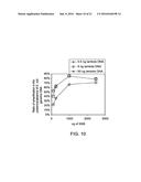 MUTANT ENDONUCLEASE V ENZYMES AND APPLICATIONS THEREOF diagram and image