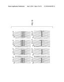 MUTANT ENDONUCLEASE V ENZYMES AND APPLICATIONS THEREOF diagram and image