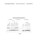 MUTANT ENDONUCLEASE V ENZYMES AND APPLICATIONS THEREOF diagram and image