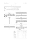 MUTANT ENDONUCLEASE V ENZYMES AND APPLICATIONS THEREOF diagram and image