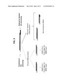 Compositions and Methods for Regulating Gene Expression via RNA     Interference diagram and image