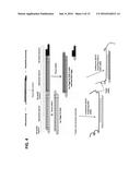 Compositions and Methods for Regulating Gene Expression via RNA     Interference diagram and image