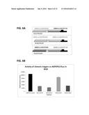 Compositions and Methods for Regulating Gene Expression via RNA     Interference diagram and image