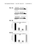 Compositions and Methods for Regulating Gene Expression via RNA     Interference diagram and image