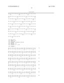 GENE FOR INCREASING PLANT WEIGHT AND METHOD FOR USING THE SAME diagram and image