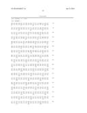 GENE FOR INCREASING PLANT WEIGHT AND METHOD FOR USING THE SAME diagram and image