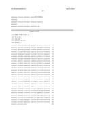 TRANSGENIC MAIZE diagram and image