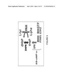 SELECTABLE MARKERS AND RELATED METHODS diagram and image