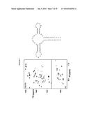 METHOD FOR SYNTHESIZING SELECTIVELY LABELED RNA diagram and image