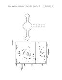 METHOD FOR SYNTHESIZING SELECTIVELY LABELED RNA diagram and image