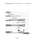 MATERIALS AND METHODS FOR PROFILING MICRORNAS diagram and image