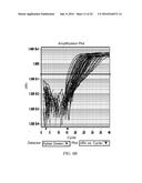 MATERIALS AND METHODS FOR PROFILING MICRORNAS diagram and image